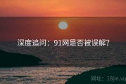 深度追问：91网是否被误解？