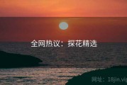 全网热议：探花精选
