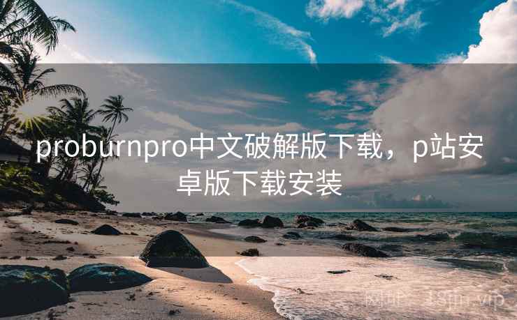 proburnpro中文破解版下载，p站安卓版下载安装