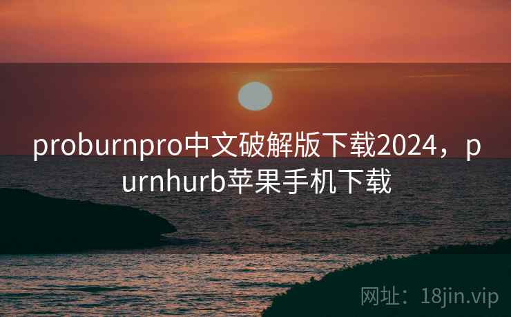 proburnpro中文破解版下载2024，purnhurb苹果手机下载