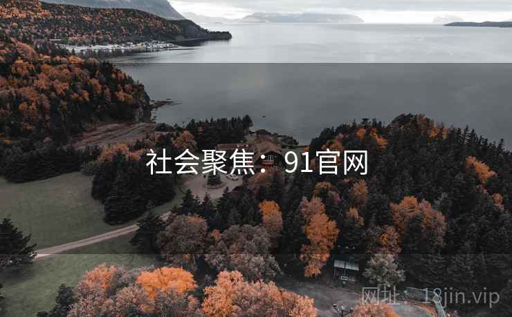 社会聚焦：91官网