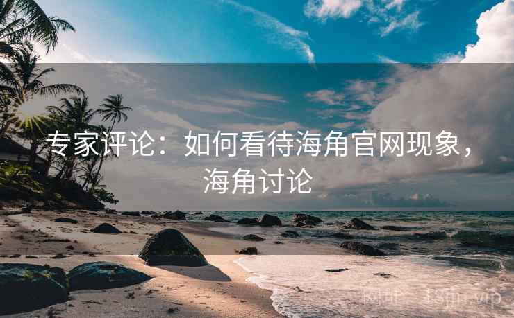 专家评论:如何看待海角官网现象,海角讨论 专家评论:如何看待海角官网现象,海角讨论