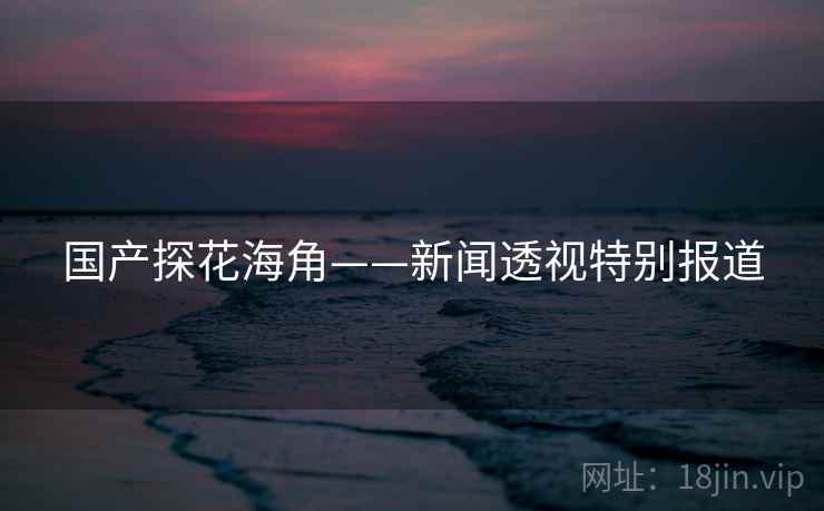 国产探花海角——新闻透视特别报道