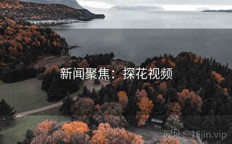 新闻聚焦：探花视频