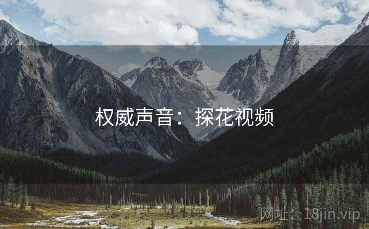 权威声音：探花视频