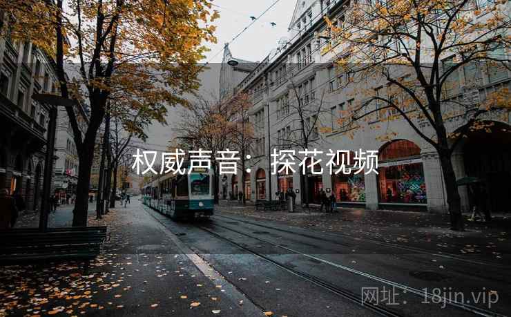 权威声音：探花视频